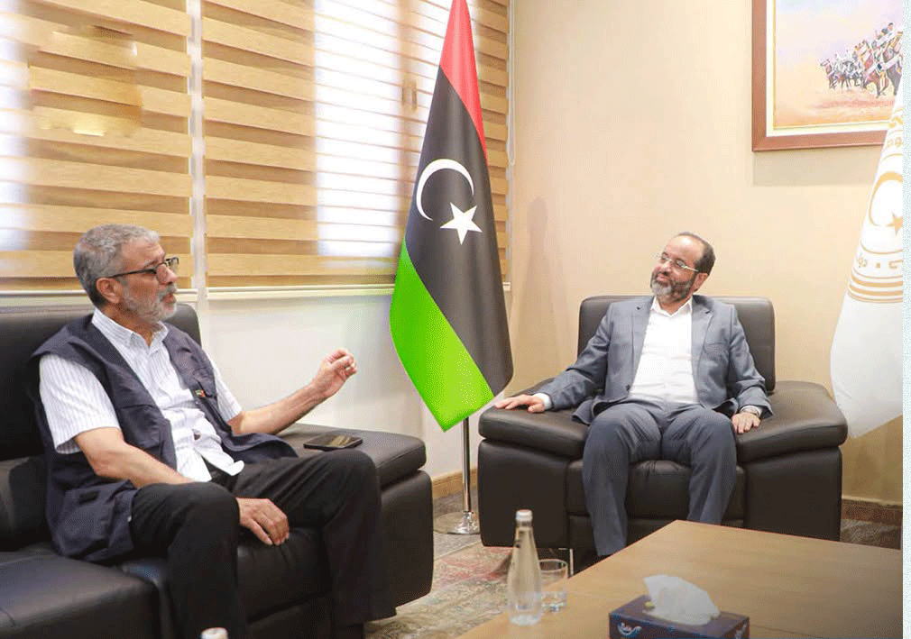 نائب رئيس الوزراء يبحث توفير أدوية السكري ودعم الخدمات الصحية بالجنوب