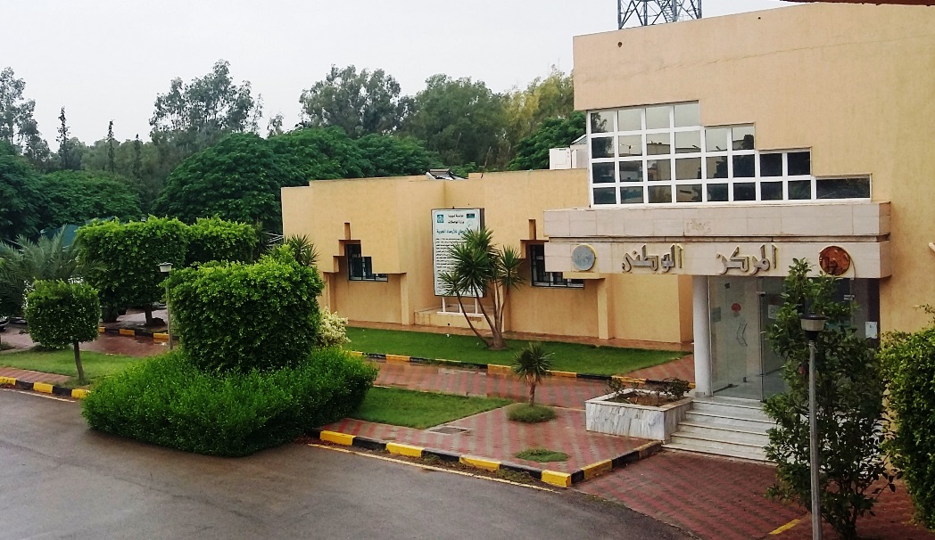 الأرصاد الجوية تتوقع أجواء معتدلة اليوم وارتفاع تدريجي في درجات الحرارة غداً